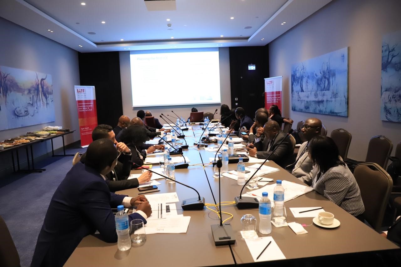 Participants during the IATF2020 Advisory Council meeting.