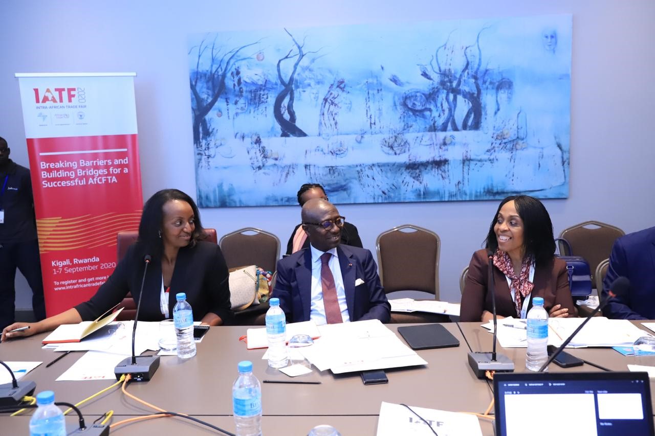 Participants during the IATF2020 Advisory Council meeting.